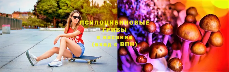 Псилоцибиновые грибы Magic Shrooms Киреевск